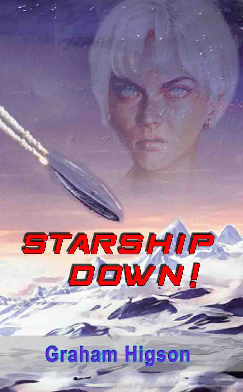 Starship Down! cover